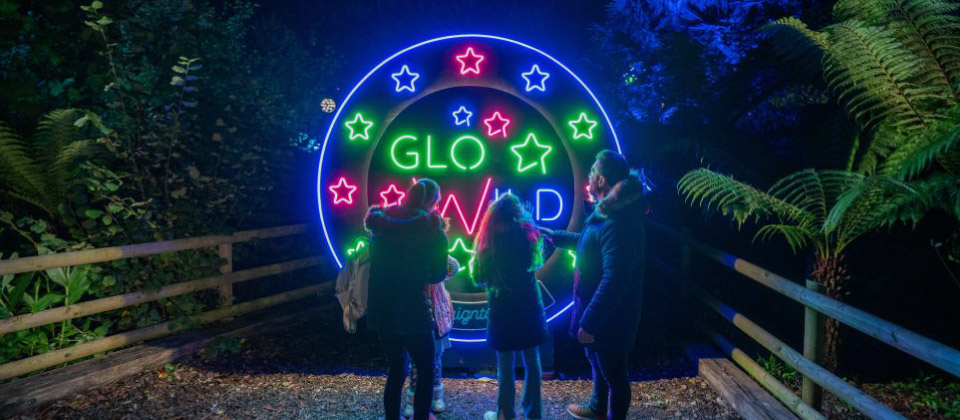 Glowild at Paignton Zoo